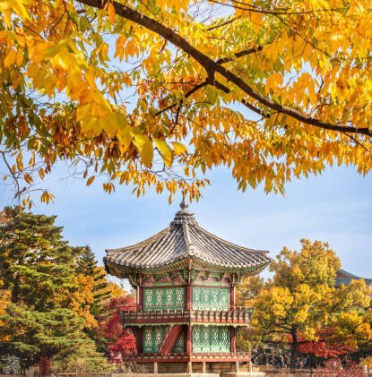 south korea e1739433270105